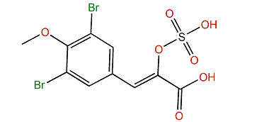 (Z)-3-(3,5-Dibromo-4-methoxyphenyl)-2-(sulfooxy)-2-propenoic acid